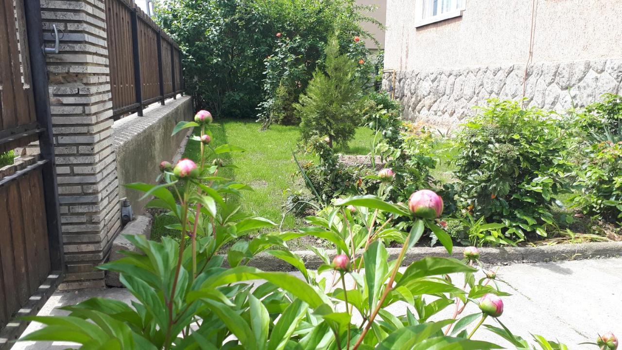 Nagyiek Haza / Granny'S House Apartment Esztergom Exterior photo